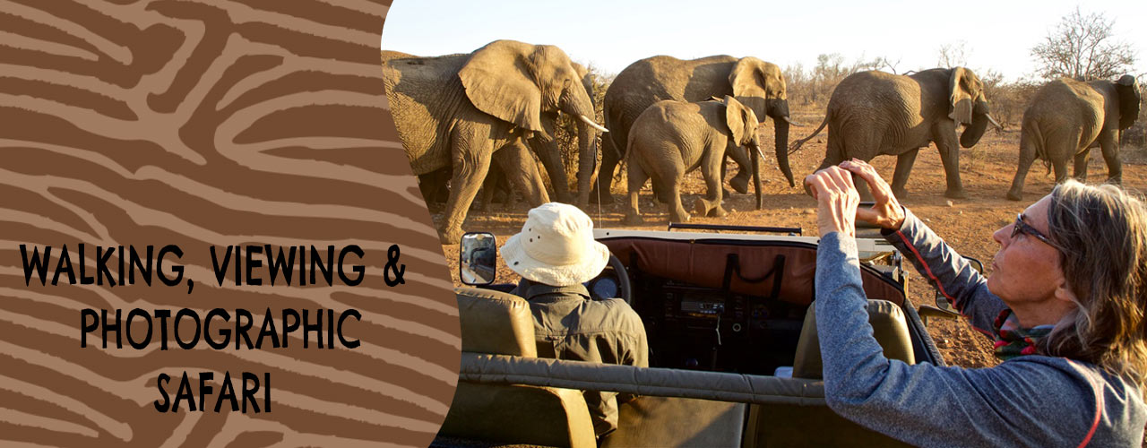 Toro River Lodges | African dream safari