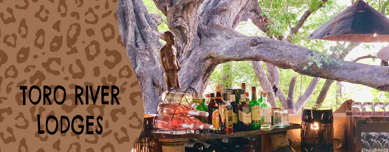 Toro River Lodges | African dream safari