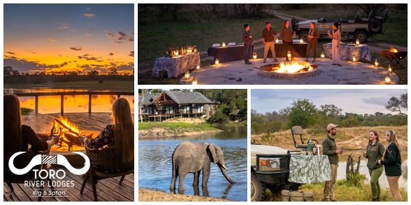 arathusa safari arathusa safari
