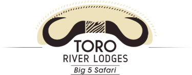 tororiver lodges